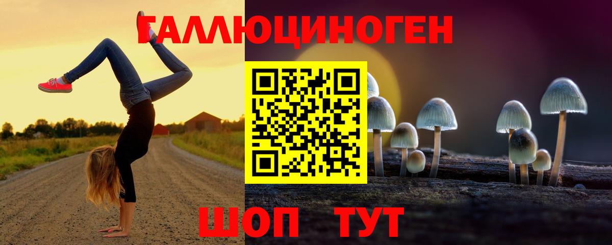 Орёл  где купить наркоту  Вход с VPN  Псилоцибиновые грибы мицелий 